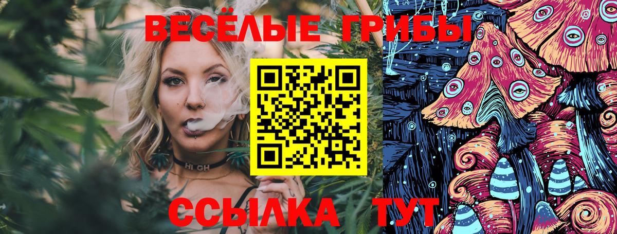 Сызрань  Псилоцибиновые грибы Psilocybine cubensis  Вход с VPN  Галлюциногенные грибы Magic Shrooms 