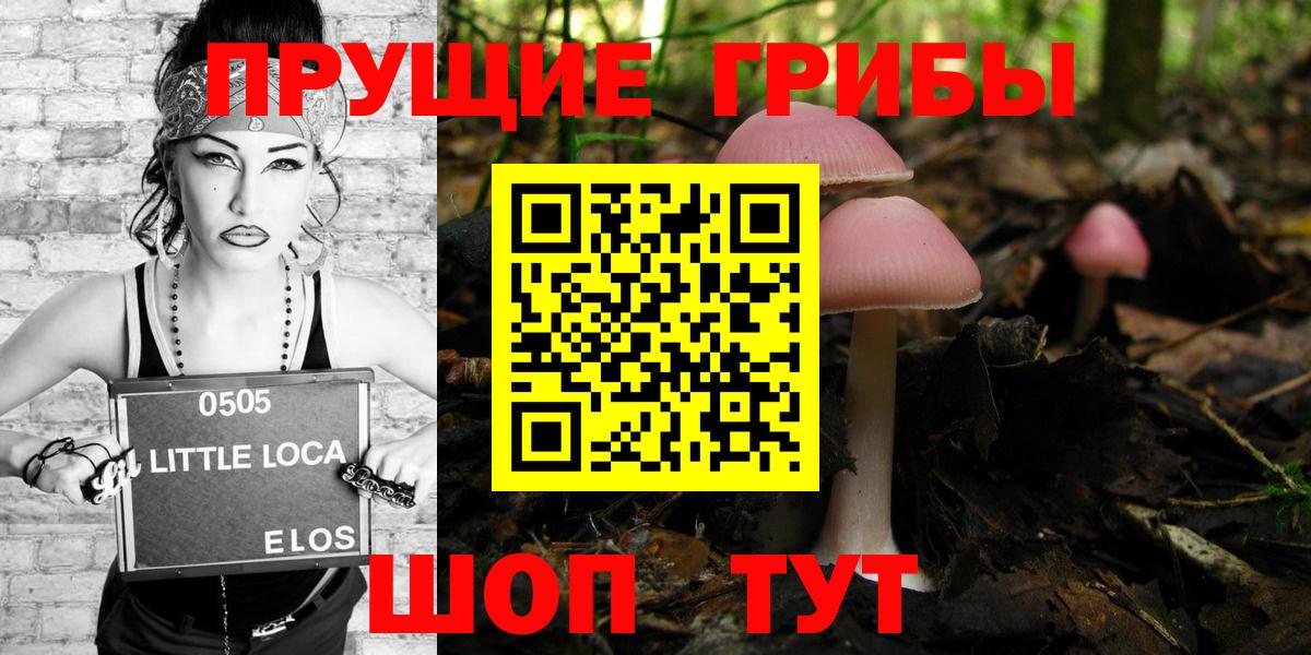 Псилоцибиновые грибы мицелий Сызрань