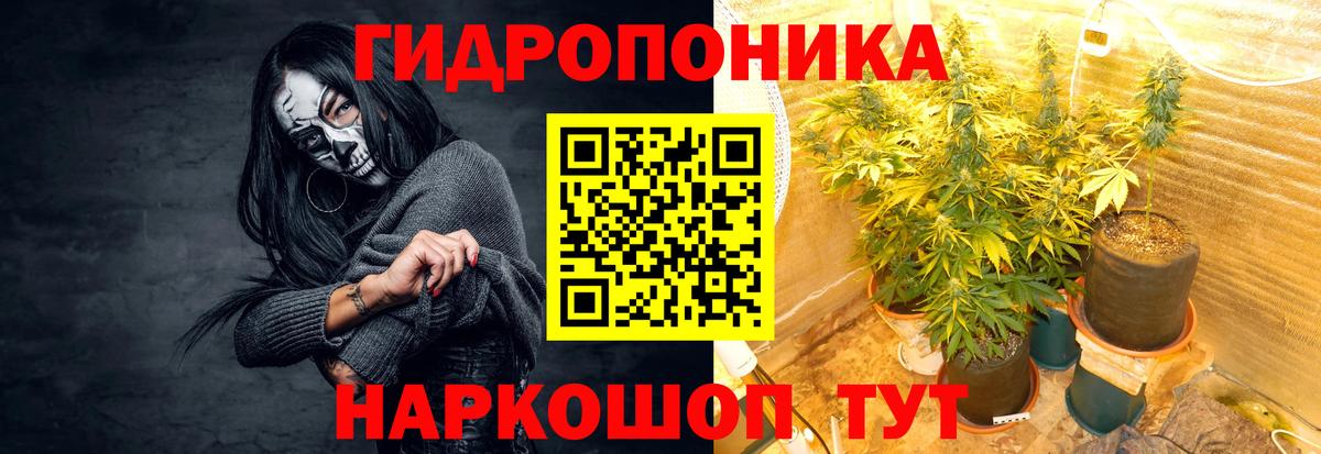 Канабис сатива Сызрань